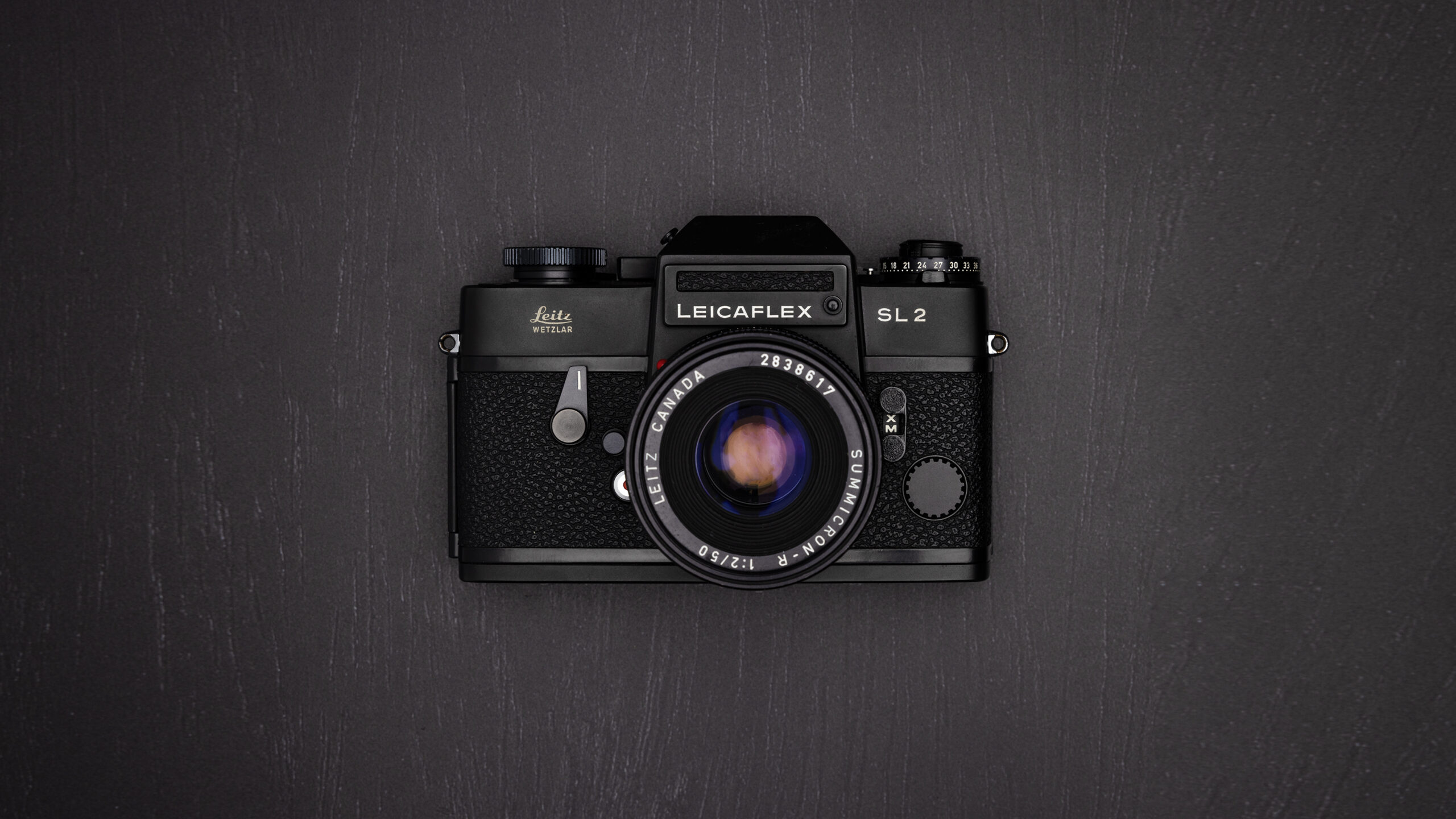analog-photography-leica